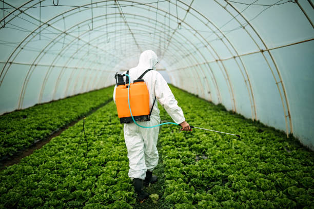 Best Commercial Pest Control Services  in Maywood, CA