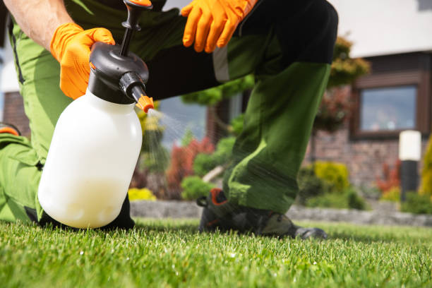 Best Pest Inspection Near Me  in Maywood, CA