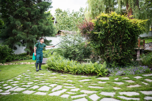 Best Bird Control  in Maywood, CA