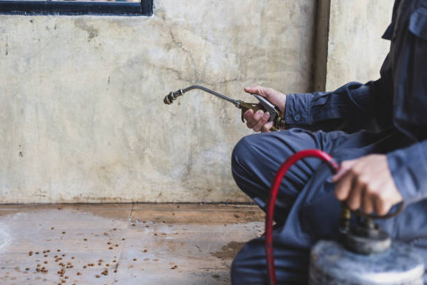 Best Pest Prevention Services  in Maywood, CA